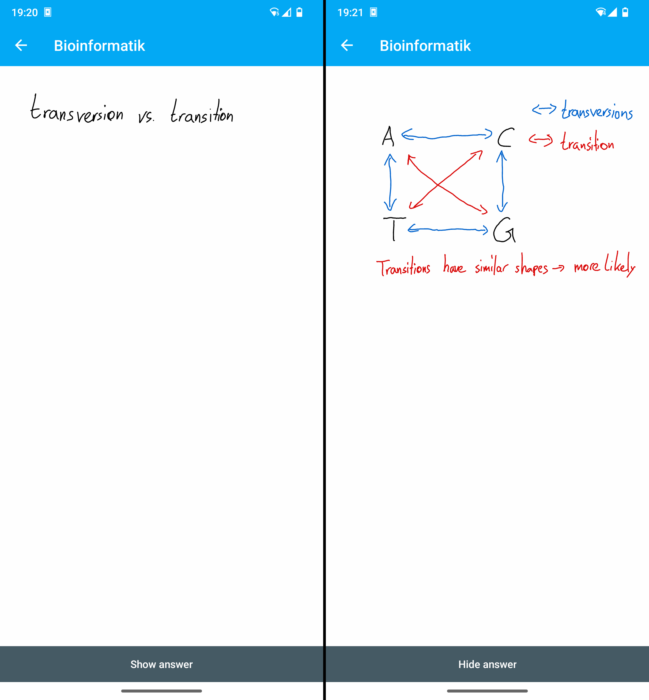 Two screenshots displaying a handwritten flashcard on the difference between translation and transversions of nucleotide sequences